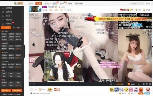 女主播友谊之光,女主播们的情感纽带与成长历程