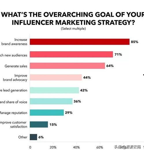 网红为什么都用代号,网络世界的匿名魅力